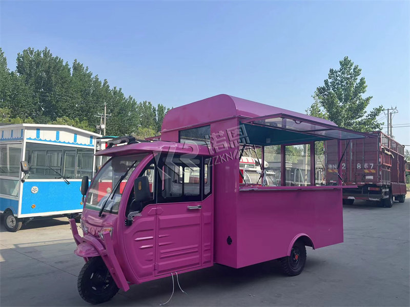 Custom Built Food Tricycle Fully Equipped For Sale Cheap